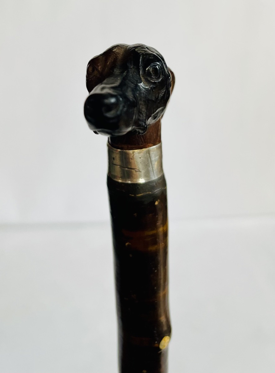 Canne de marche -photo-3